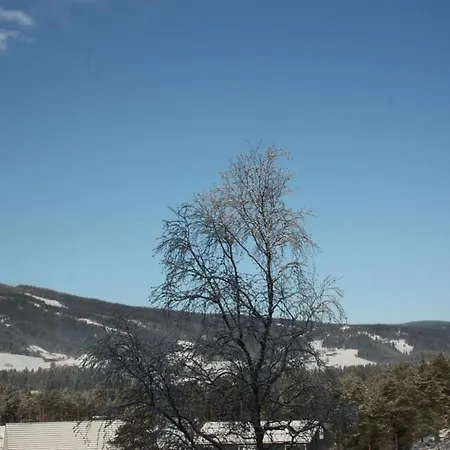 Bed & Breakfast Furulund