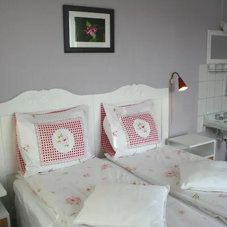 住宿加早餐酒店 松林宾馆 罗恩