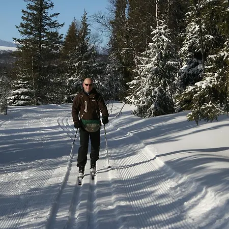 Furulund 2* Рон