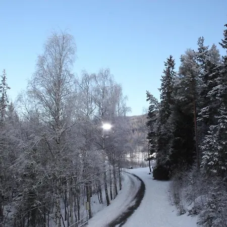 Furulund 2* Рон