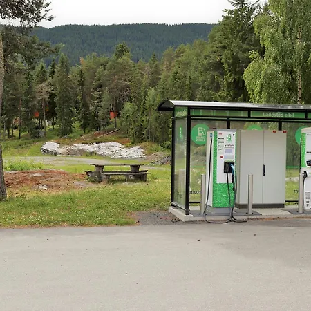 Furulund 2* Рон