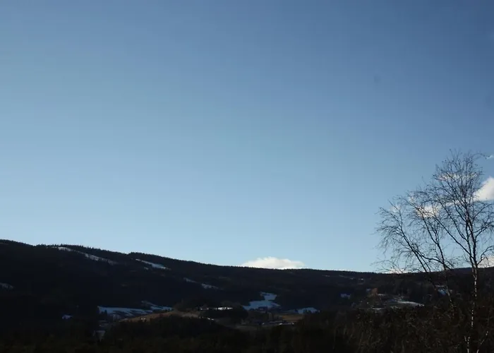 Bed & Breakfast Furulund Ron