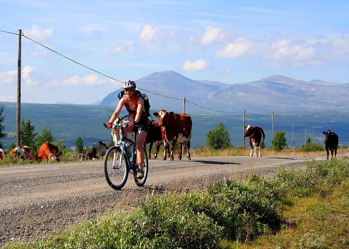 Bed & Breakfast Furulund Ron